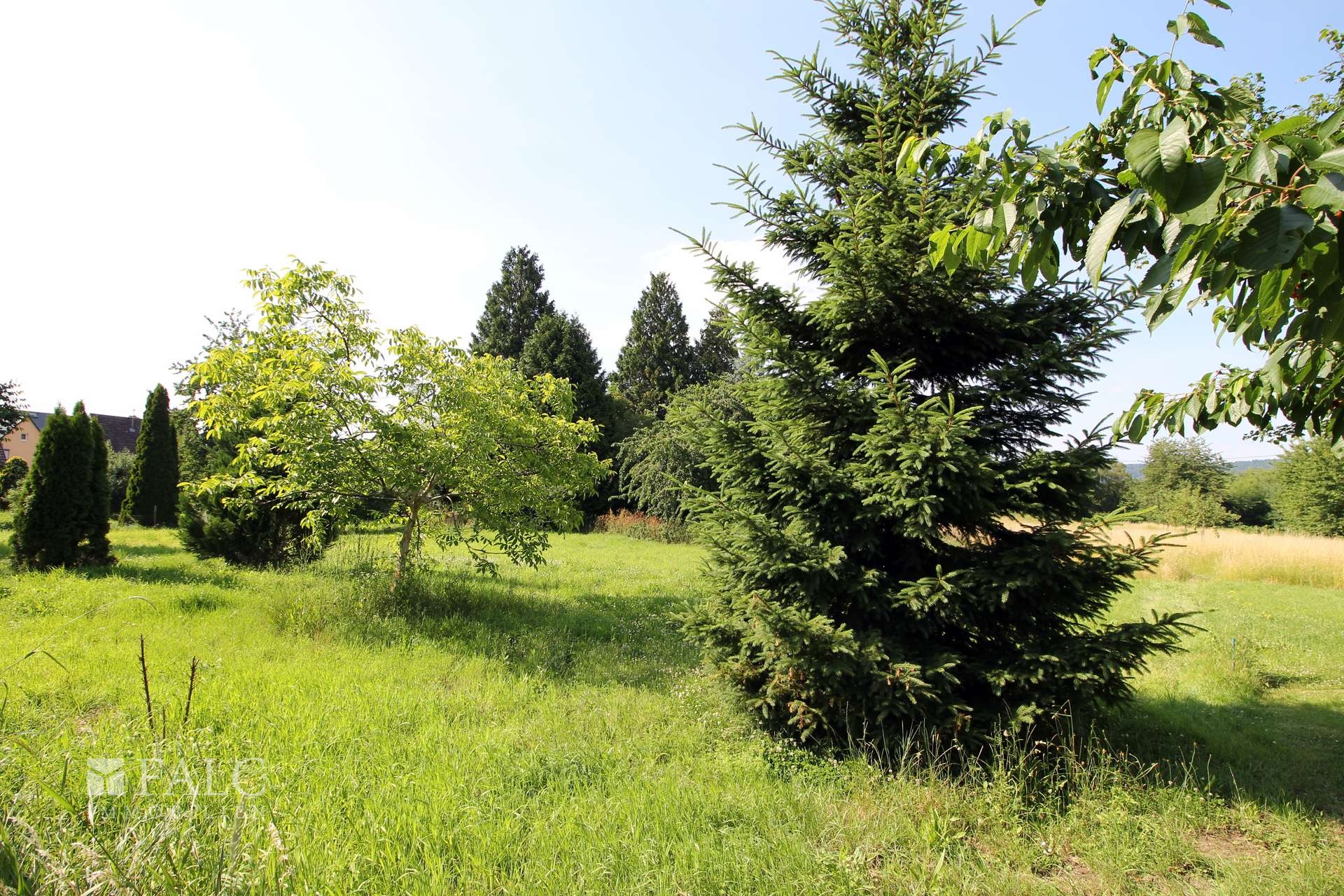 Natur hinter dem Garten